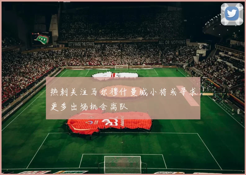 热刺关注马尔穆什曼城小将或寻求更多出场机会离队